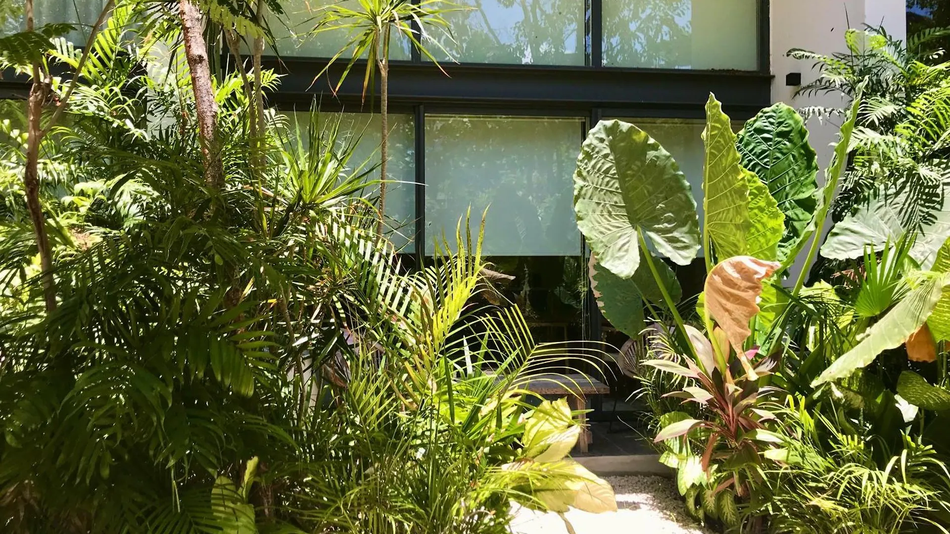 Casa Dith'Cha Loft De Charme Dans Jardin Tropical Tulum